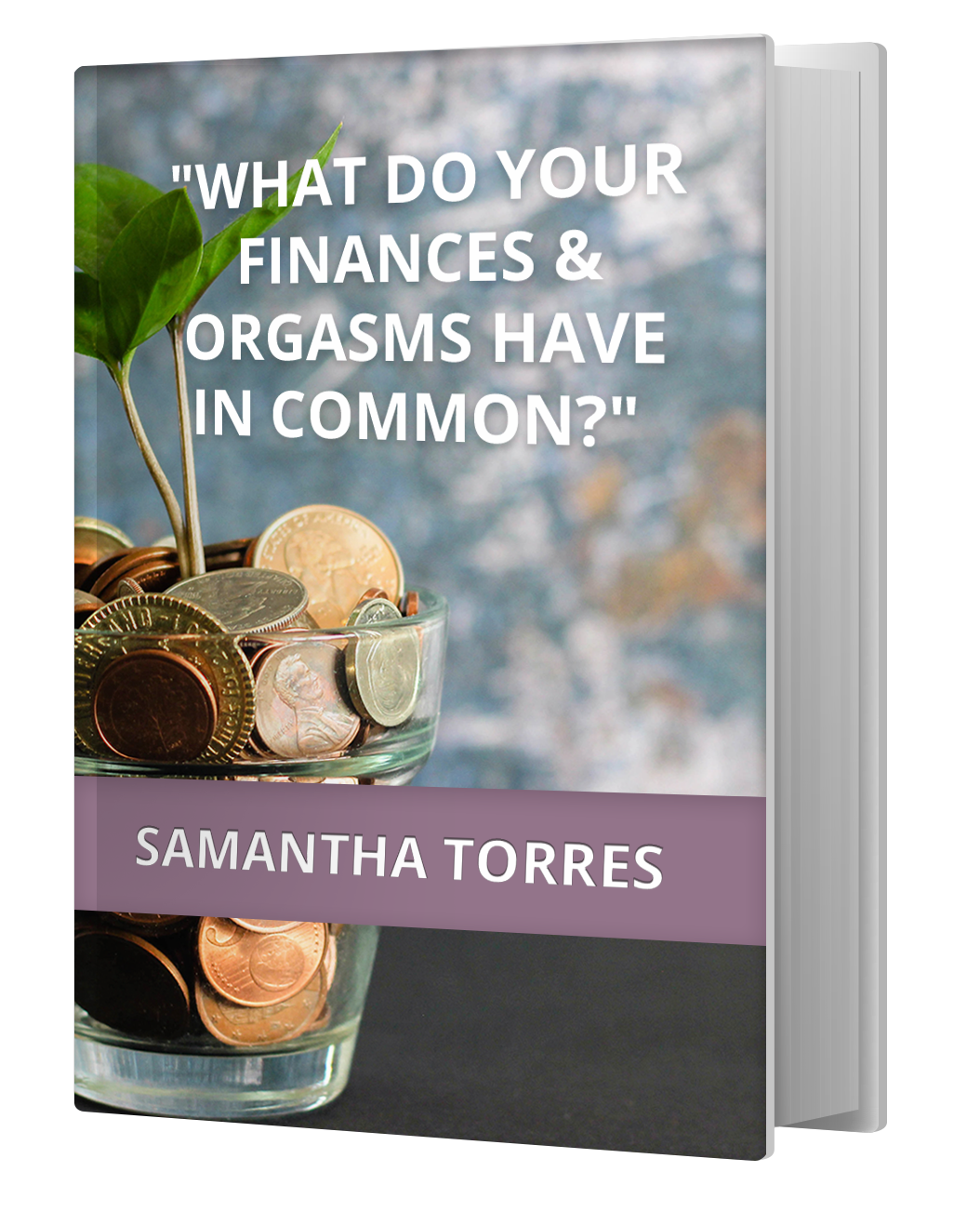 iamge for what do your finances & orgasms have in common?